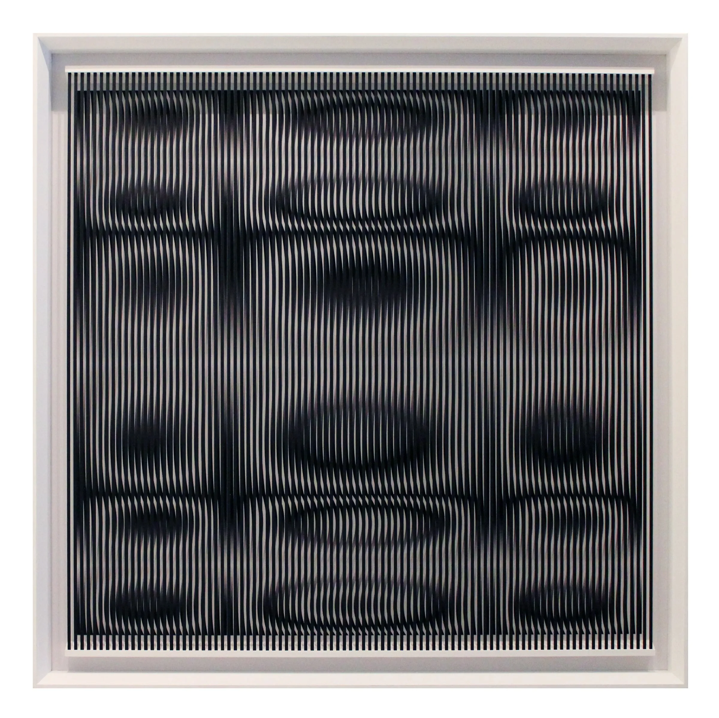 Fluido / Ottico-Dinámico, obra de Alberto Biasi